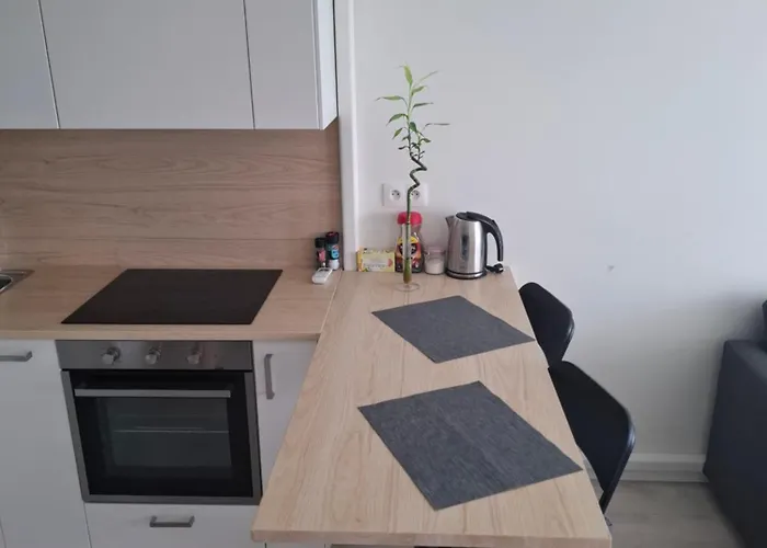 New Air-Conditioned Apartment 5 Minutes By Walk From The Airport With Free Garage Parking