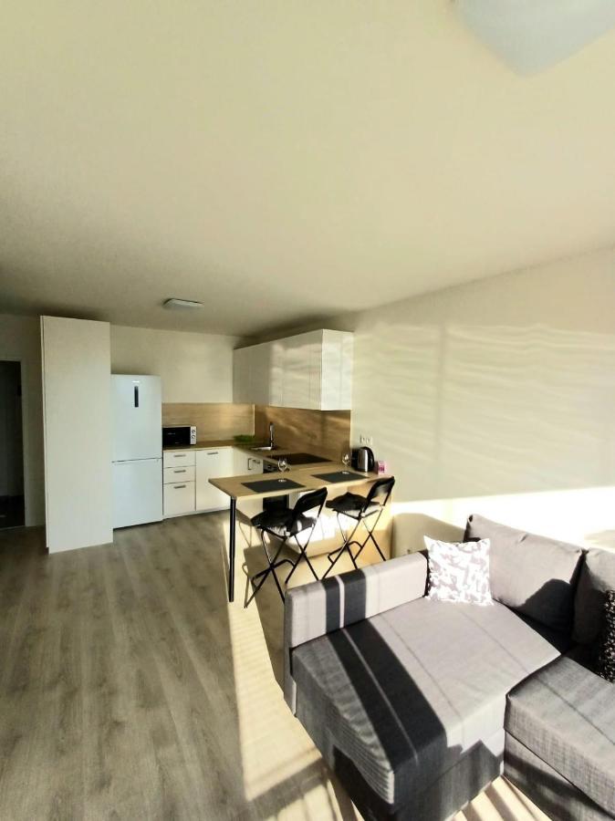 New Air-conditioned 5 Minutes By Walk From The Airport With Free Garage Parking Apartment Pressburg